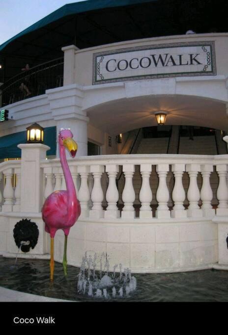 Sol Miami # 2 With Free Parking Exterior foto